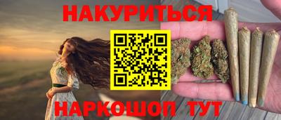 дмт Новокубанск