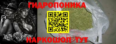 ALPHA PVP Новозыбков