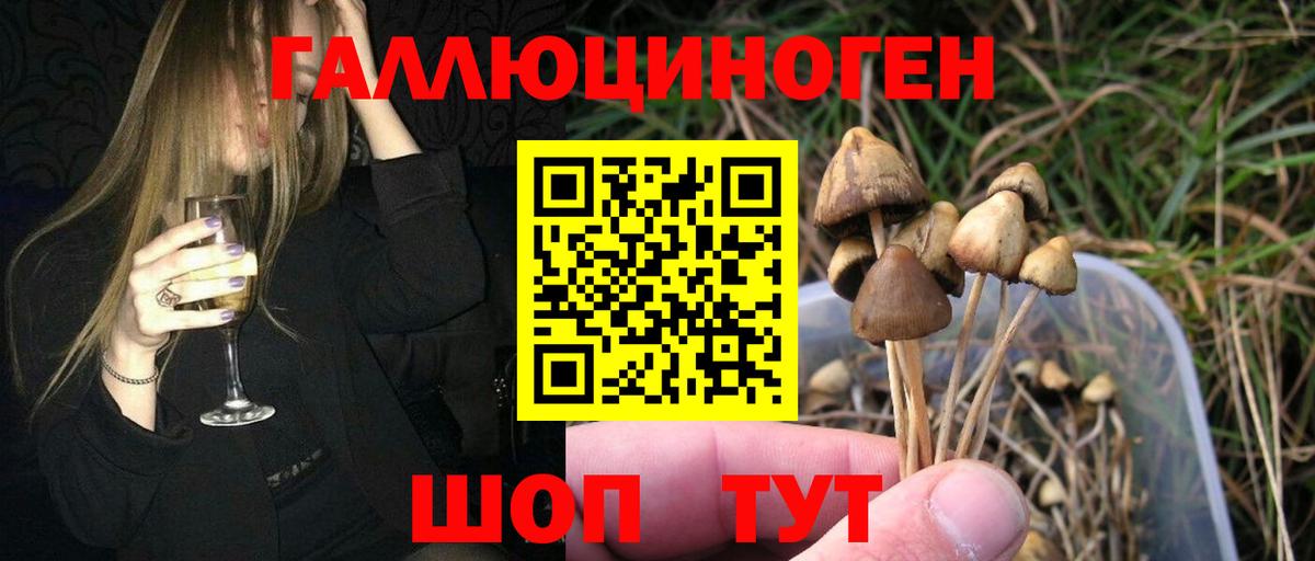 сколько стоит  Галлюциногенные грибы Psilocybe  Вход с VPN  Псилоцибиновые грибы Magic Shrooms  Скопин 